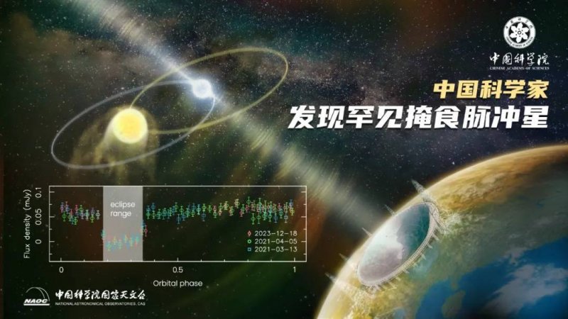 实际上很酷的10种木板装饰理念