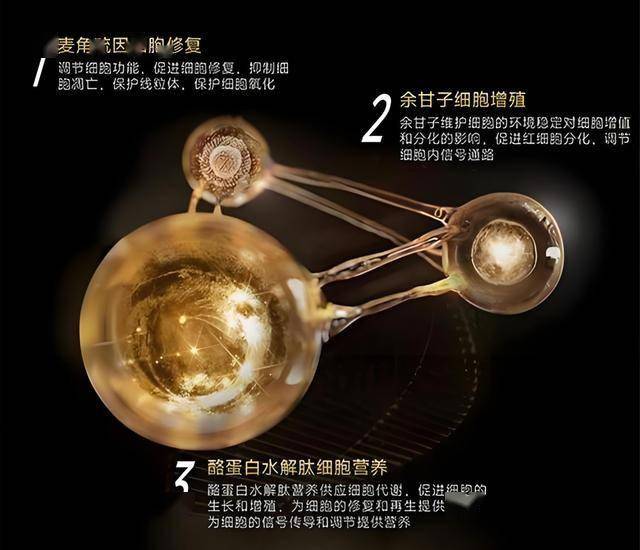 一路春风一路歌 奏响中国品牌最强音